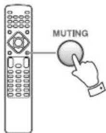MUTING