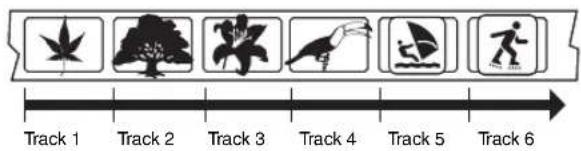 Track 1 Track 2 Track 3 Track 4 Track 5 Track 6