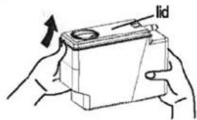 lid