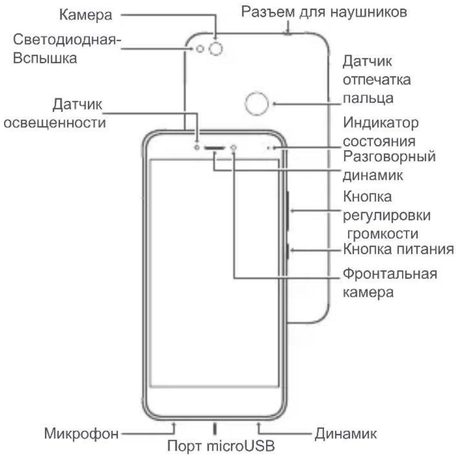 Камера Светодиодная- Вспышка Разъем для наушников Датчик отпечатка пальца Индикатор состояния Разговорный динамик Кнопка регулировки громкости Кнопка питания Фронтальная камера Микрофон Порт microUSB Динамик