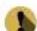 Steren ELI-795 - ELI-795 - 1