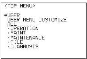 →USER USER MENU CUSTOMIZE ALL • OPERATION • PAINT • MAINTENANCE • FILE • DIAGNOSIS