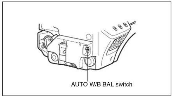 AUTO W/B BAL switch