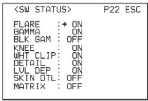 P22 ESC FLARE :→ ON GAMMA : ON BLK GAM : OFF KNEE : ON WHT CLIP : ON DETAIL : ON LVL DEP : ON SKIN DTL : OFF MATRIX : OFF
