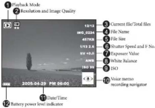 1 Playback Mode 2 Resolution and Image Quality 12/12 IMG_0224 457KB 1/13 2.6 EV +0.0 AWE ISO 99 2005-04-29 PM 06:00 3 Current file/Total files 4 File Name 5 File Size 6 Shutter Speed and F No. 7 Exposure Value 8 White Balance 9 ISO 10 Voice memo recording navigator 11 Date/Time 12 Battery power level indicator