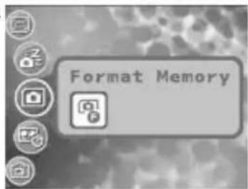 Format Memory