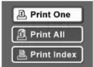 Print One Print All Print Index
