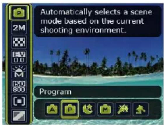 Automatically selects a scene mode based on the current shooting environment. Program
