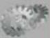 Avocor AVW-5555 - Images Settings - 5