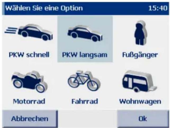 FALK N200 - Profil für Fahrer und Fahrzeug wählen - 2