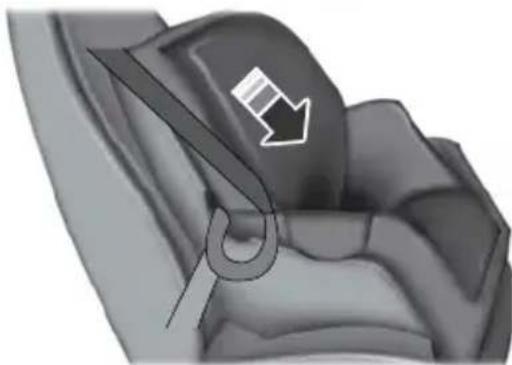 FORD F-250 Super Duty (2021) - Using Lap and Shoulder Belts (Except Front Center Position of Super Cab and Crew Cab) - 8