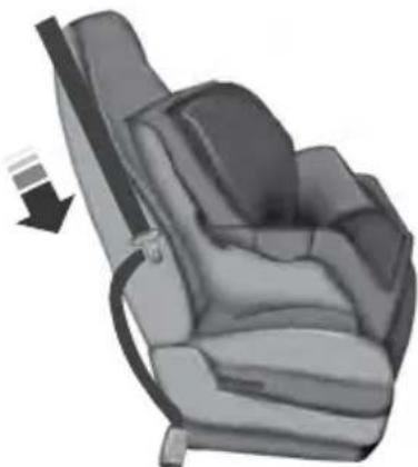 FORD F-250 Super Duty (2021) - Using Lap and Shoulder Belts (Except Front Center Position of Super Cab and Crew Cab) - 5