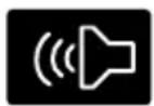 FORD F-250 Super Duty (2021) - Sounding the Panic Alarm - 1