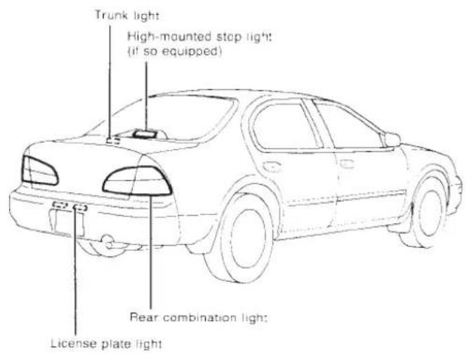 Trunk light High-mounted stop light: (if so equipped) Rear combination light License plate light