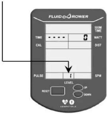 FLUIDO-ROWER 500M TIME WATT CAL DIST PULSE 1 SPM LEVEL UP RESET DOWN COMPETIBLE