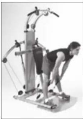 Finnlo Bioforce 3842 - BEINSTRECKER - 3