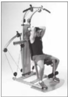 Finnlo Bioforce 3842 - HAMMER-CURLS EINARMIG - 20