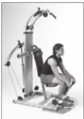 Finnlo Bioforce 3842 - HAMMER-CURLS EINARMIG - 18