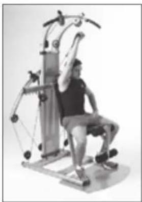 Finnlo Bioforce 3842 - HAMMER-CURLS EINARMIG - 23