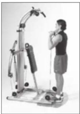 Finnlo Bioforce 3842 - BAUCH & UNTERER RÜCKEN - 1