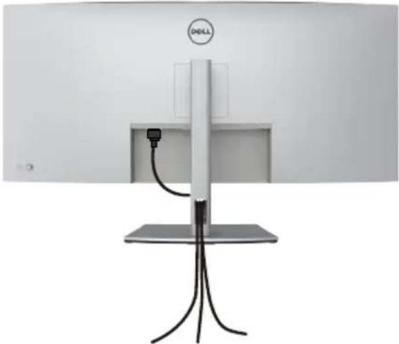 DELL UltraSharp U4021QW - Kabel organisieren - 1