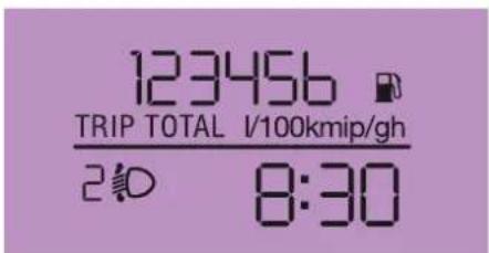 123456 TRIP TOTAL I/100kmip/gh 2:10 8:30