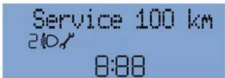 Service 100 km 210 8:88