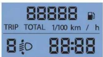 88888 TRIP TOTAL 1/100 km / h 8:00 88:00