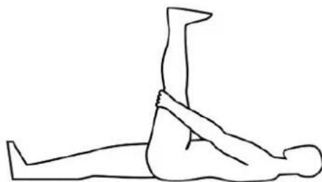 TAURUS UltraForce Pro - Übung: Dehnung der Oberschenkelrückseite / Beinbeuger (Schenkelbizeps) - 1