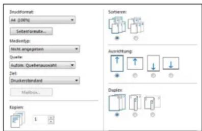 Druckformat: A4 (0.00%) Sozenlormate... Medientyp: Hörs angegeben Quelär: Autom. Quellenauswahl Zelt Druckerstandard Mailbox... Sofernern: Ausrichtung Duplex: Eopium: 1