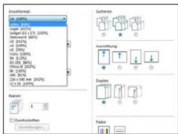 KYOCERA KM-3650w - Druckformat - 1