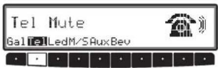 Tel Mute GalTelLedM/SAuxBev