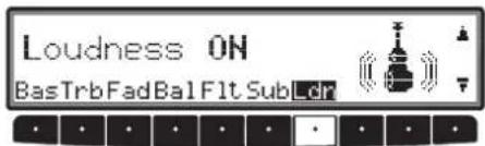 Loudness ON BasTrbFadBal Flt Sub Lcr