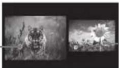 SONY Bravia KLV-40EX500 - Press. - 1