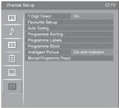 Channel Set-up 1 Digit Direct On Favourite Set-up Auto Tuning Programme Sorting Programme Labels Programme Block Intelligent Picture On with Indicator Manual Programme Preset