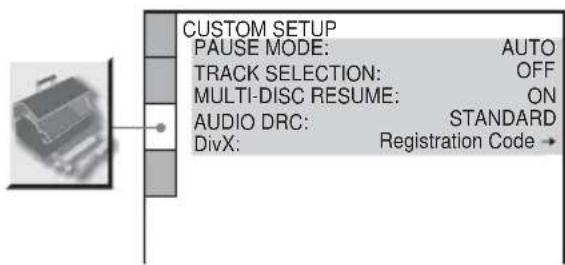 SONY DAV-DZ550 - [CUSTOM SETUP] - 1
