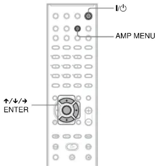 SONY DAV-DZ550 - Step 6: Turning off the Demonstration - 1
