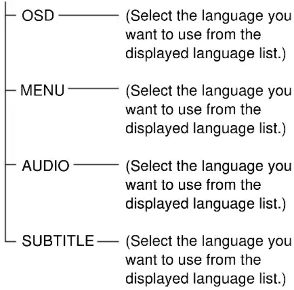 SONY DAV-DZ550 - DVD Setup Display List - 1