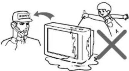 SONY Trinitron KV-ES34M91 - WARNING - 4