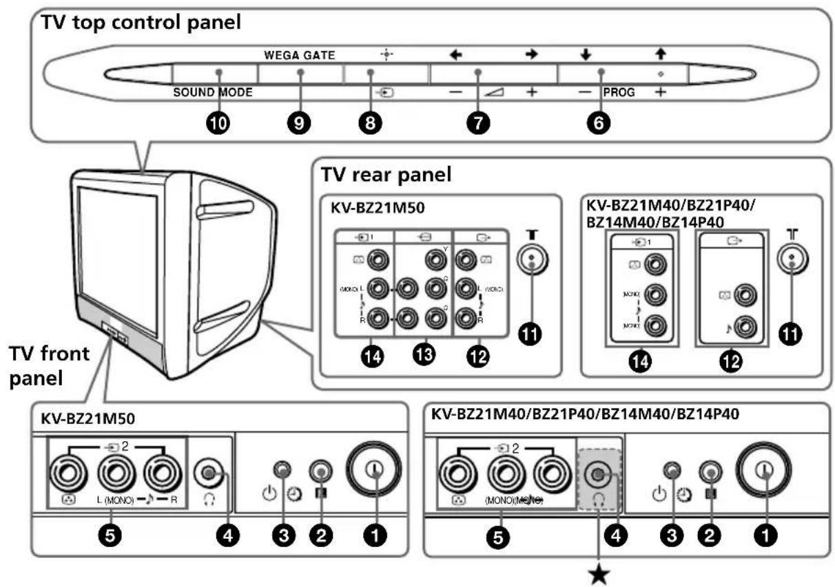 TV top control panel WEGA GATE SOUND MODE 10 9 8 7 PROG 6 TV rear panel KV-BZ21M50 14 13 12 11 KV-BZ21M40/BZ21P40/ BZ14M40/BZ14P40 14 12 11 TV front panel KV-BZ21M50 L (MONO) R 5 4 3 2 1 KV-BZ21M40/BZ21P40/BZ14M40/BZ14P40 MONO(MONE) 5 4 3 2 1