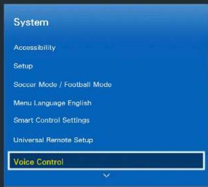 SAMSUNG UA78HU9800J - Setting up Voice Control - 1