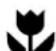 WESTINGHOUSE WSF6608XA - Conditions of use - 1