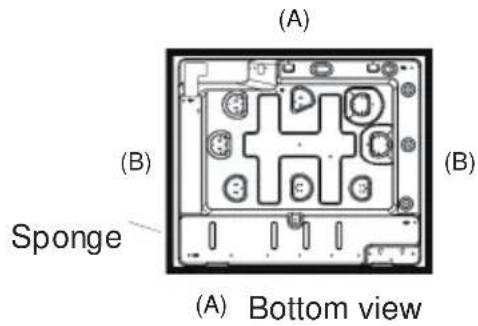(A) (B) Sponge (B) (A) Bottom view