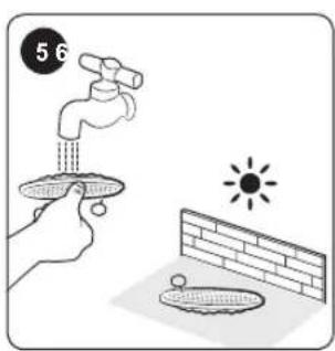 56