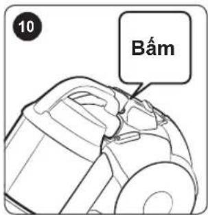10 Bám