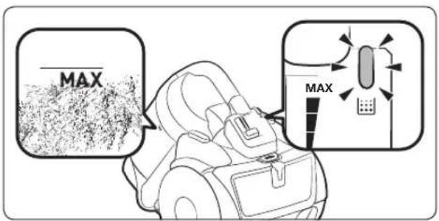 MAX MAX