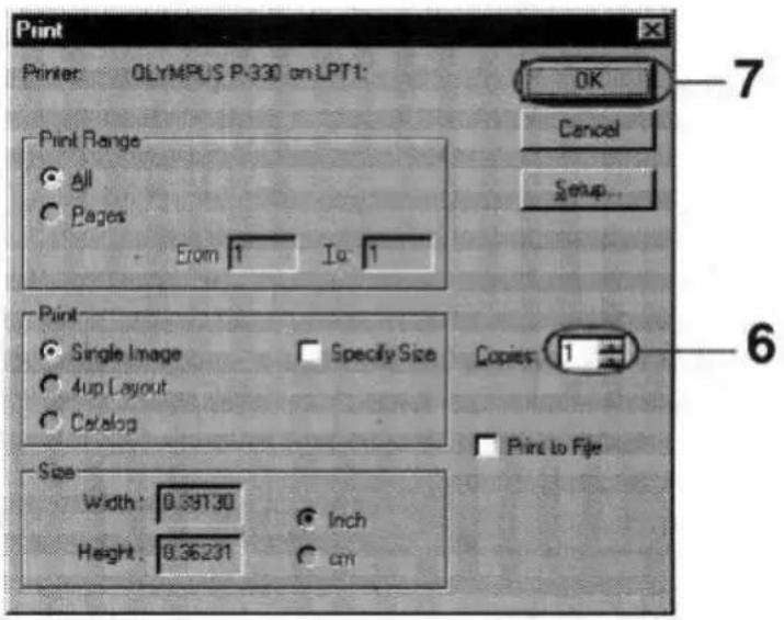 OLYMPUS Camedia P-330 - Notes - 2