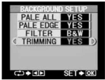 BACKGROUND SETUP PALE ALL YES PALE EDGE YES FILTER B&W TRIMMING YES