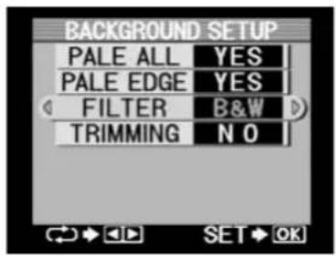 BACKGROUND SETUP PALE ALL YES PALE EDGE YES FILTER B&W TRIMMING N O