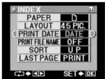 INDEX PAPER LAYOUT 45 PIC. PRINT DATE DATE PRINT FILE NAME OFF SORT U P LAST PAGE PRINT